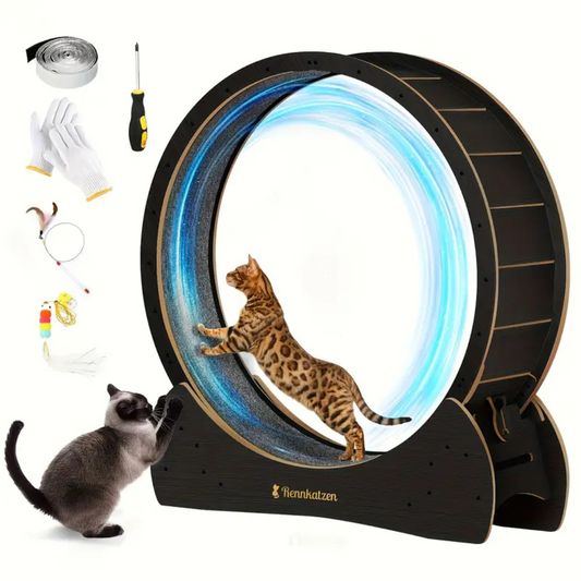 XL Katzenrennrad – Leises Fitness-Laufrad fuer Katzen & Kleine Hunde